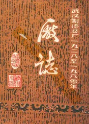 武汉制漆总厂厂志