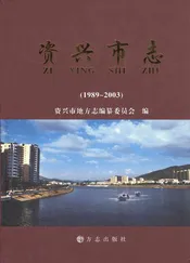 资兴市志（1989～2003）