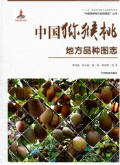 中国猕猴桃地方品种图志