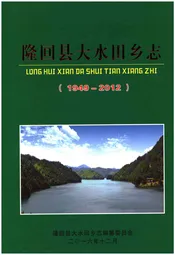 隆回县大水田乡志