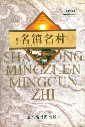 山东名镇名村志