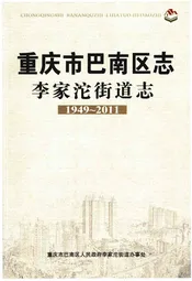 重庆市巴南区志李家沱街道志