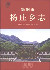 舞钢市杨庄乡志