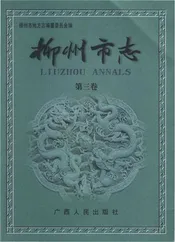 柳州市志（第三卷）