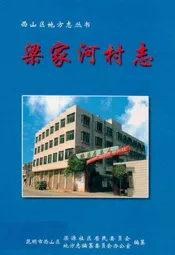 梁家河村志