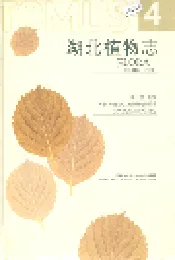 湖北植物志4