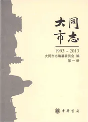 大同市志1993-2013第一册