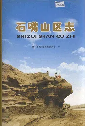 石嘴山区志