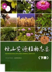 恒山资源植物志要