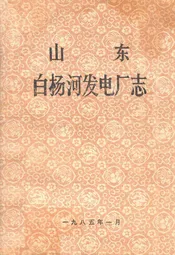 山东白杨河发电厂志
