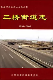 三桥街道志1994-2005