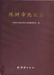 株洲市北区志（大本）
