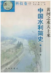 黄河之水天上来:中国水利简史