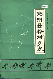 兖州县谷村乡志