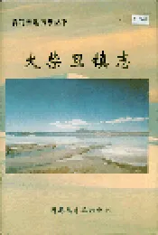 大柴旦镇志