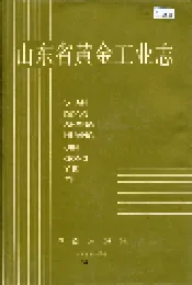 山东省黄金工业志