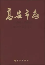 高安市志