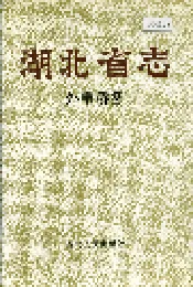 湖北省志 外事侨务