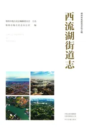 西流湖街道志