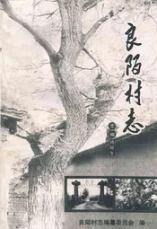 良陌村志